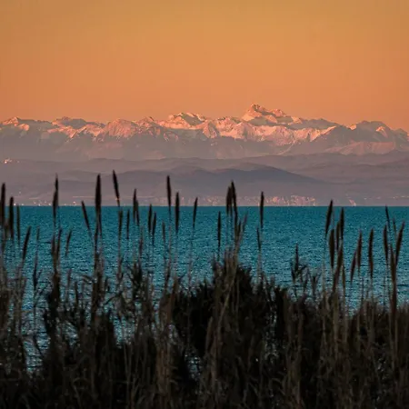 In - Istrien 12042 Lejlighed Umag